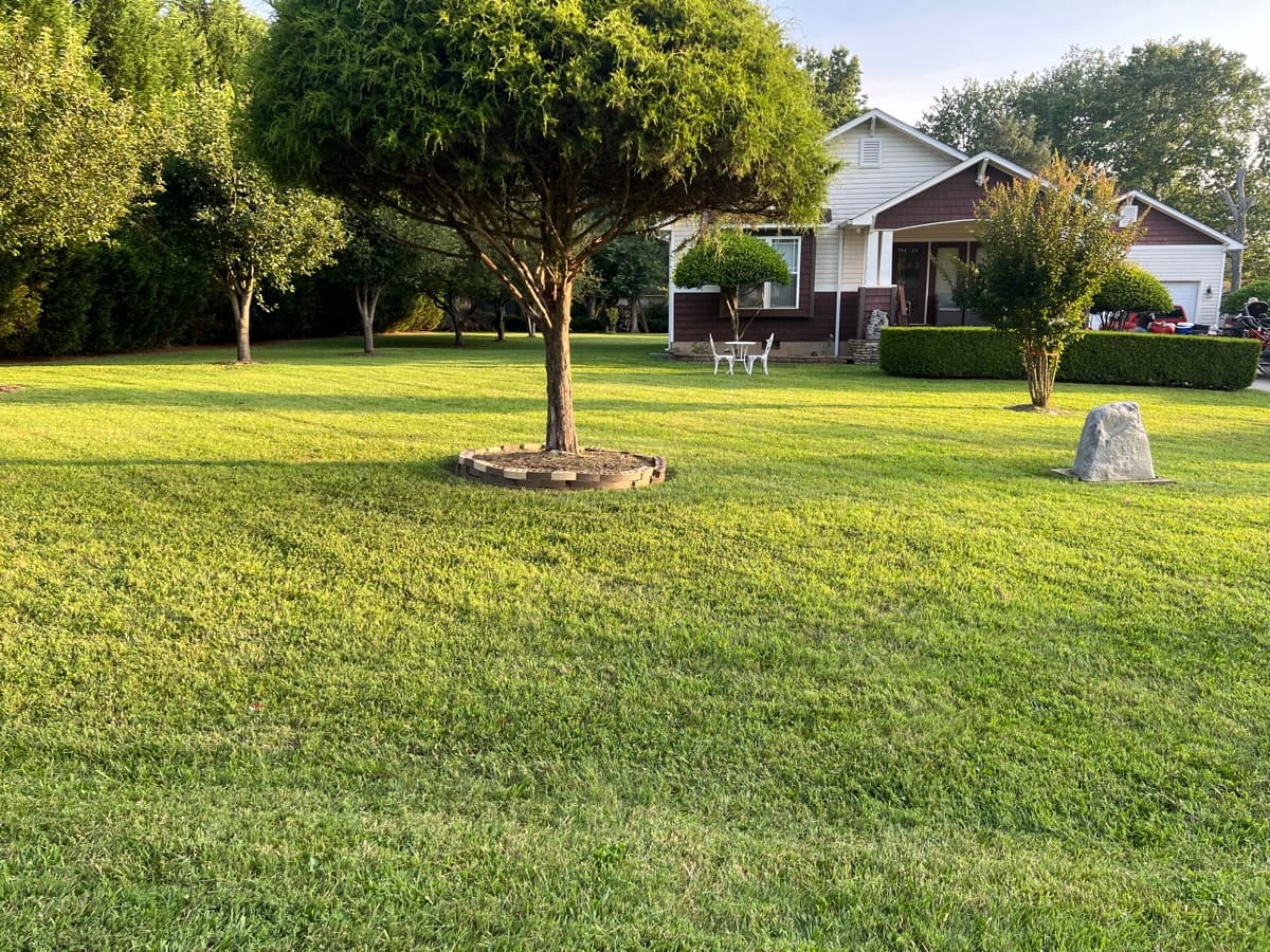 Marina Lawn Care — lawn care job photo